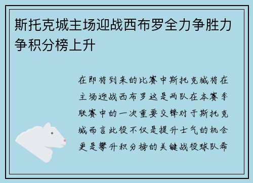斯托克城主场迎战西布罗全力争胜力争积分榜上升